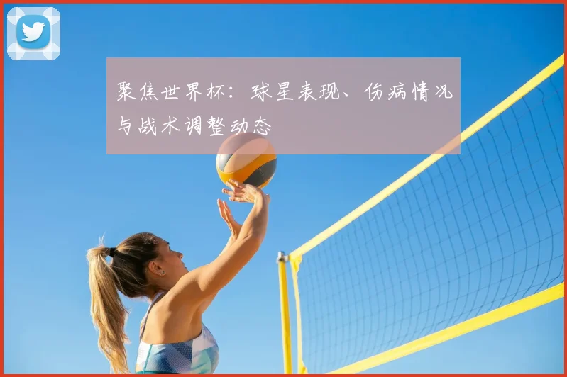 聚焦世界杯：球星表现、伤病情况与战术调整动态